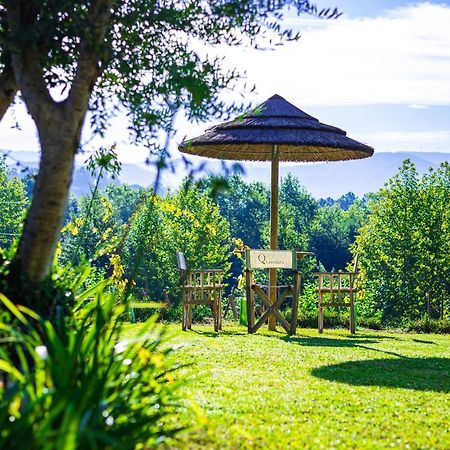 Quinta Da Chouza Agroturismo E Enoturismo เซลอริโก จิ บาสโต ภายนอก รูปภาพ
