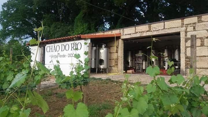 Quinta Da Chouza Agroturismo E Enoturismo เซลอริโก จิ บาสโต ภายนอก รูปภาพ
