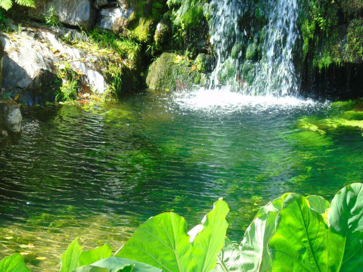 Quinta Da Chouza Agroturismo E Enoturismo เซลอริโก จิ บาสโต ภายนอก รูปภาพ