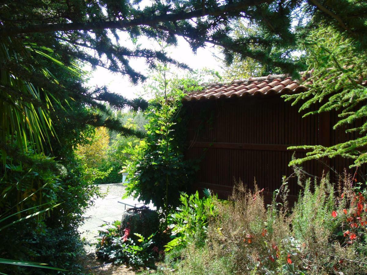 Quinta Da Chouza Agroturismo E Enoturismo เซลอริโก จิ บาสโต ภายนอก รูปภาพ